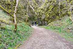 Wolfstal