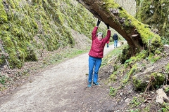 Wolfstal