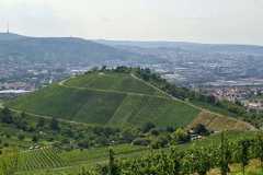 IMG-20250817-WA0071