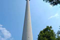 IMG-20250817-WA0091