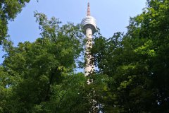 IMG-20250817-WA0095