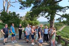 IMG-20250817-WA0102